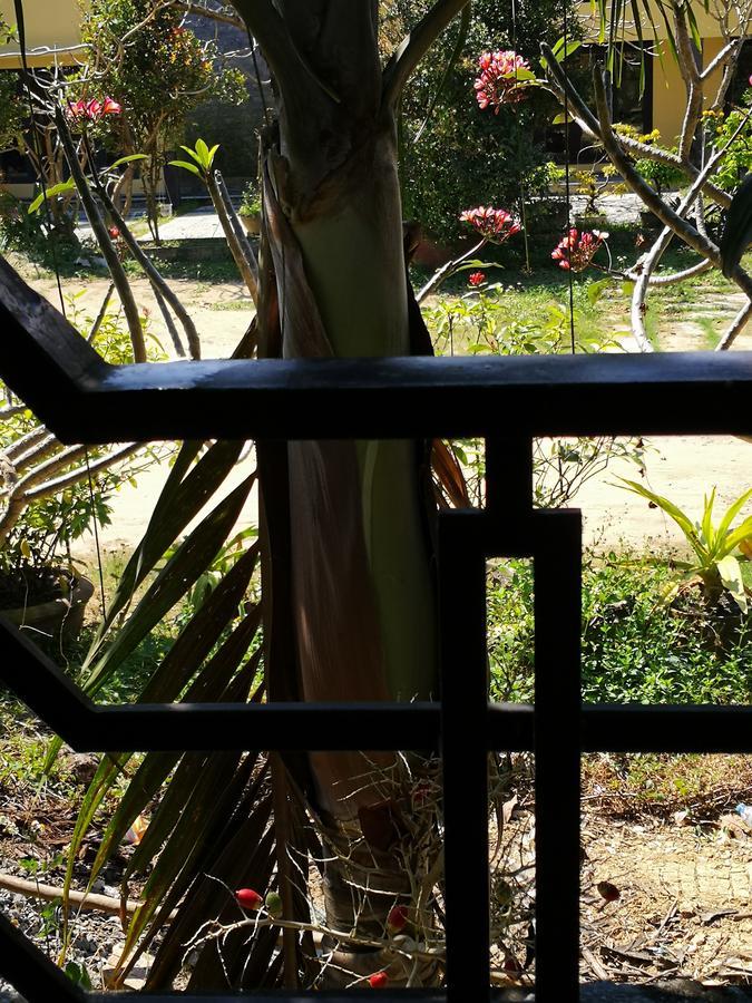 Cam Nam Homestay Hoi An Luaran gambar