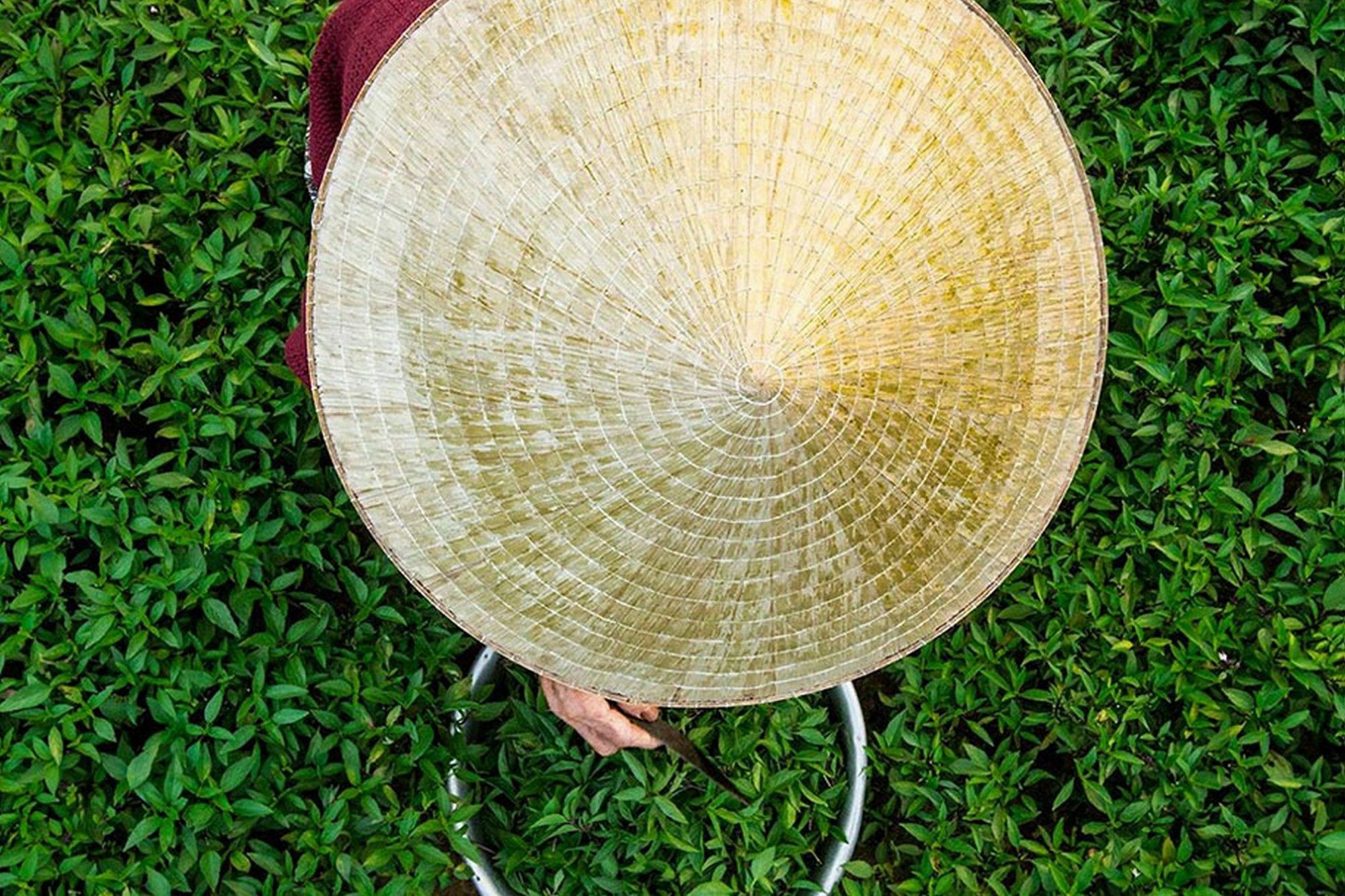 Cam Nam Homestay Hoi An Luaran gambar