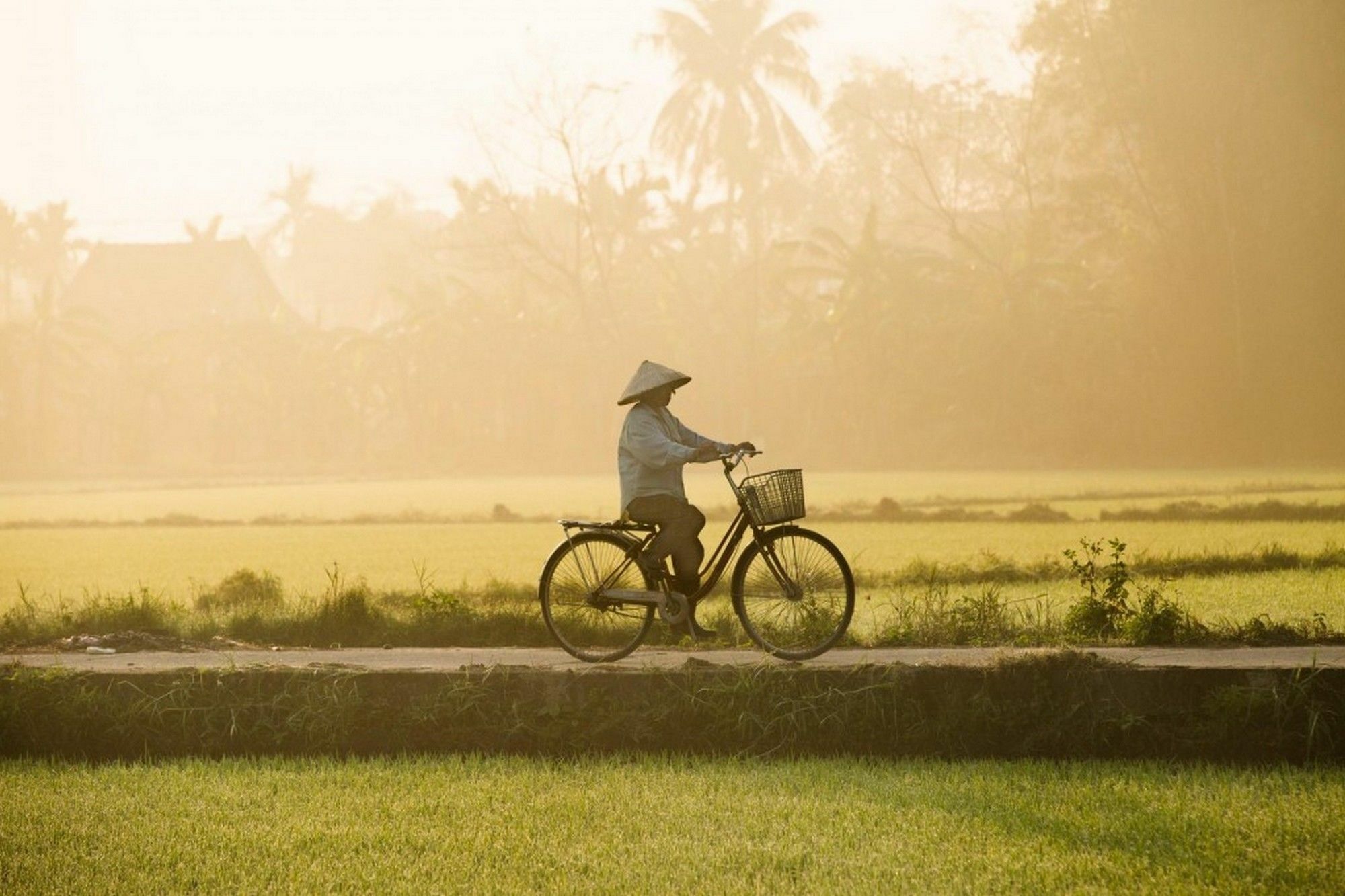 Cam Nam Homestay Hoi An Luaran gambar